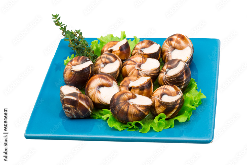 Escargot Escargot