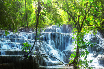 Tuinposter Watervallen Tropische waterval in weelderig Mexicaans regenwoud  © Galyna Andrushko