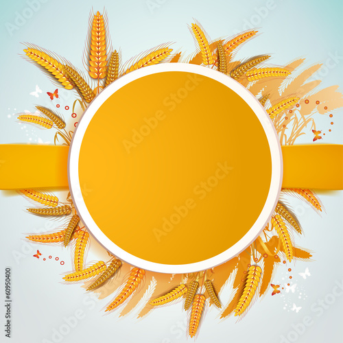 Background with wheat ears