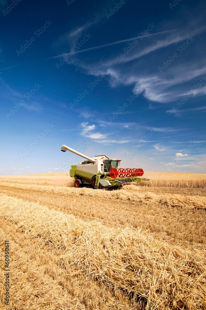 Obraz premium Mähdrescher bei der Getreideernte
