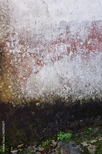 Hintergrund marode Wand mit Pionierpflanzen © Fotoschlick