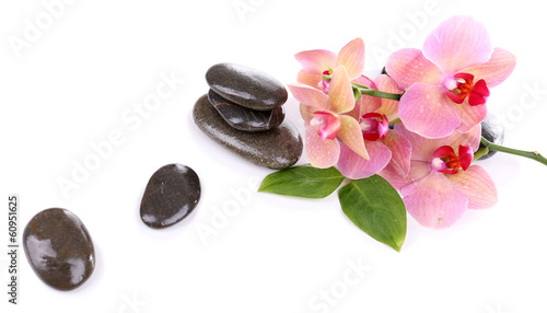 Composition with beautiful blooming orchid with water drops and