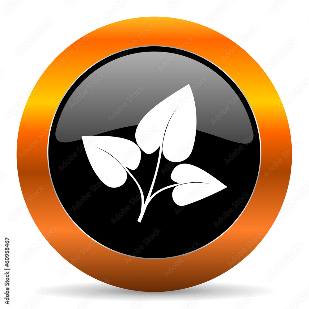 leaf icon leaf icon