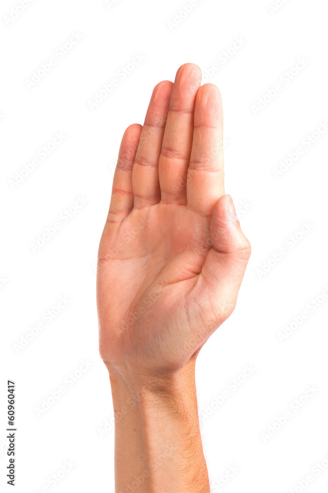 Male palm hand gesture, isolated on white Male palm hand gesture, isolated on white