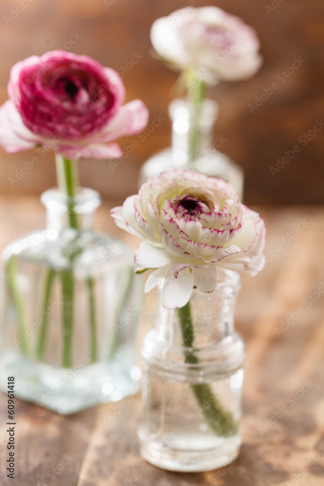 ranunculus in vase ranunculus in vase