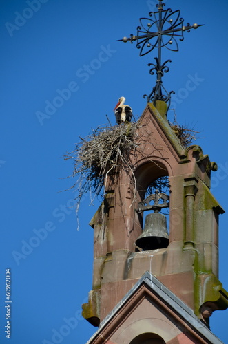 White storks nesting on a church roof in Alsace, France