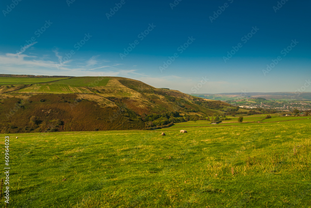 Green fields and hills in the British country side