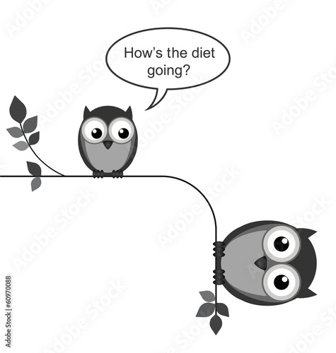 Fat bird on a diet on a branch