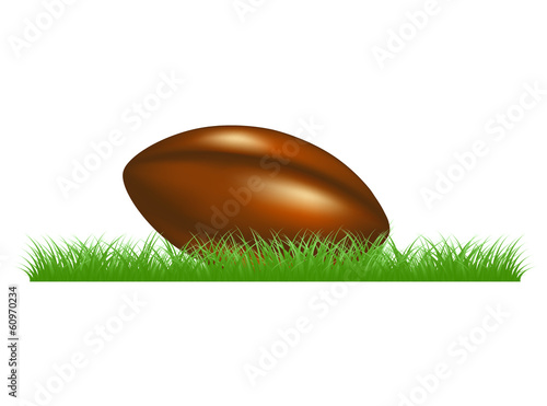 Retro rugby ball lying in grass