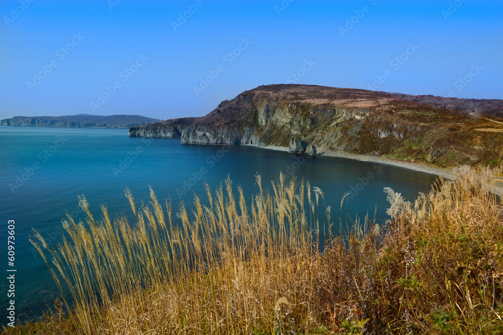 Scenic coastal line of the island, Russia, Primorsky region