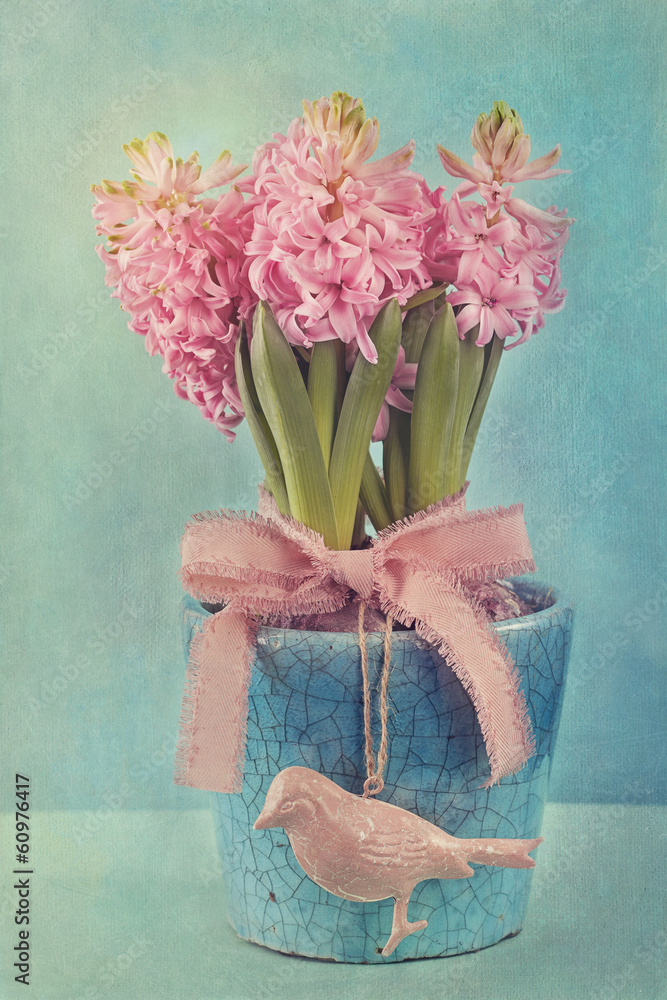 Pink hyacinths - obrazy, fototapety, plakaty 