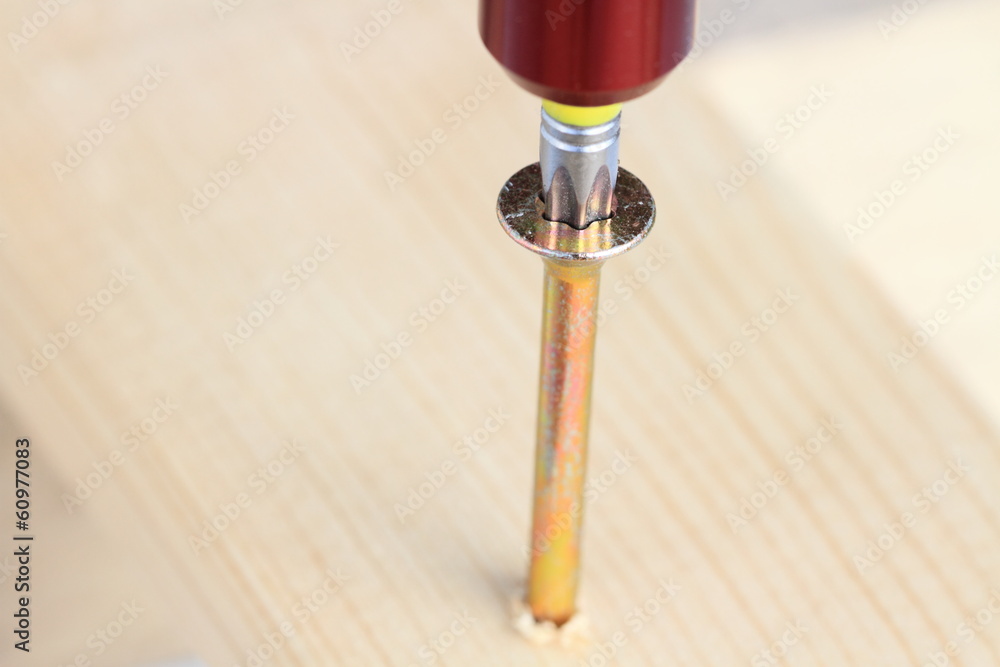 Schraube mit Bit Schraube mit Bit