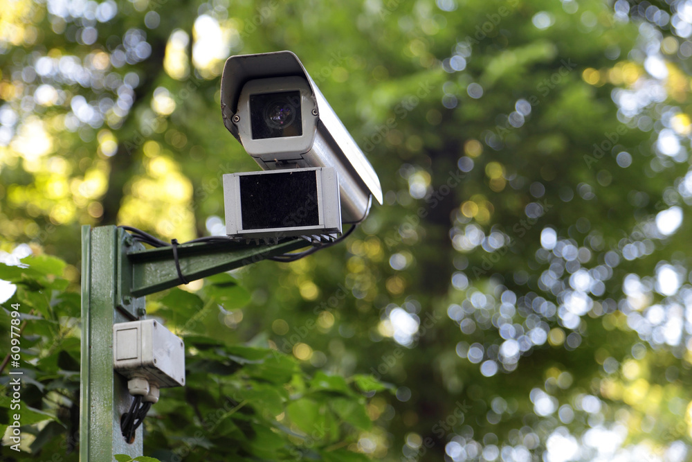 Security cam in park Security cam in park