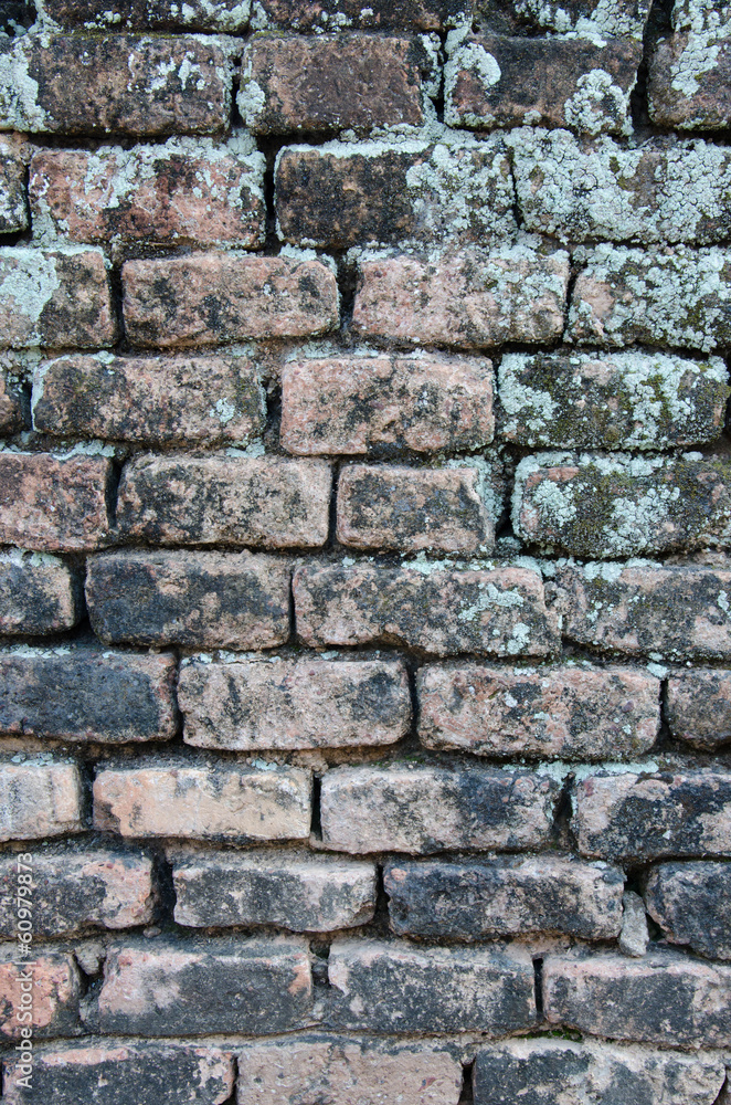 Obraz premium the wall for texture