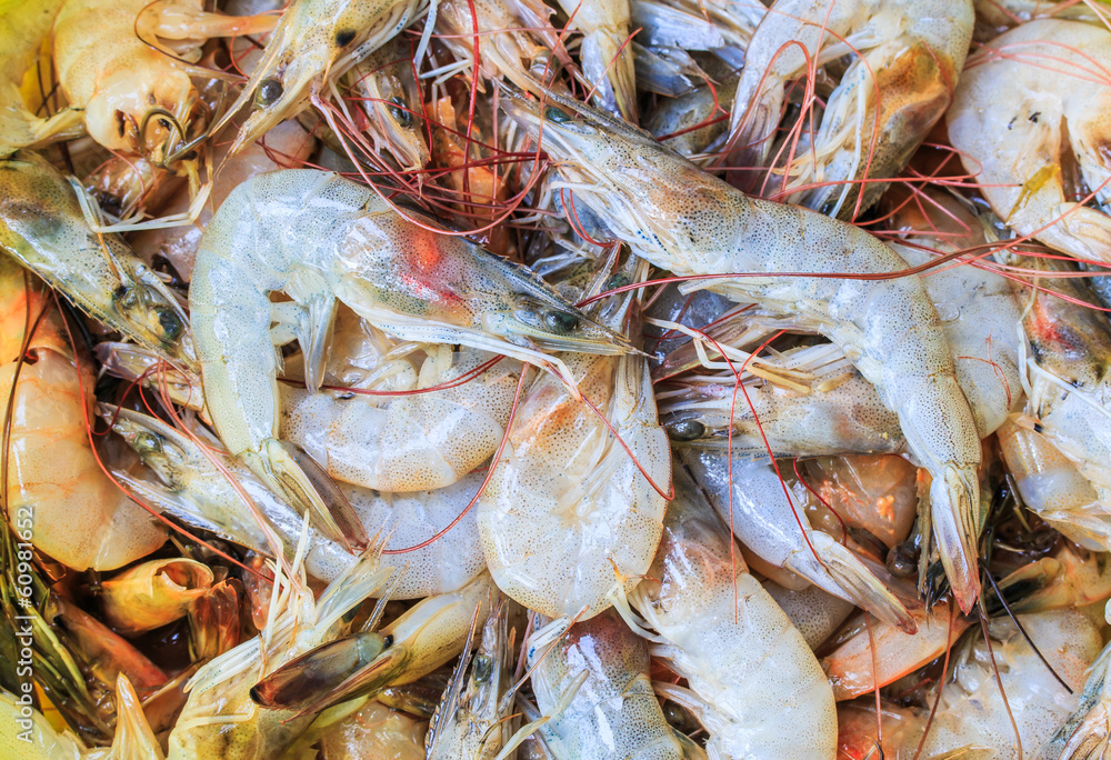 Raw shrimps for cooking Raw shrimps for cooking