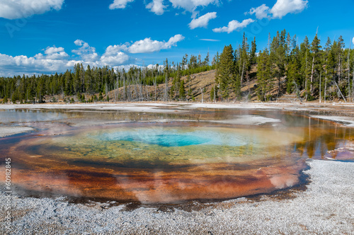 colorful geothermal basin in Yellowstone NP