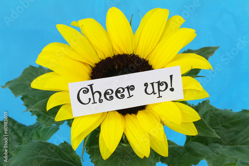 Fototapeta Naklejka Na Ścianę i Meble -  Cheer up card with sunflower