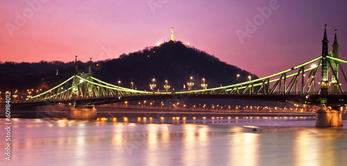 The famous Liberty Bridge in Budapest