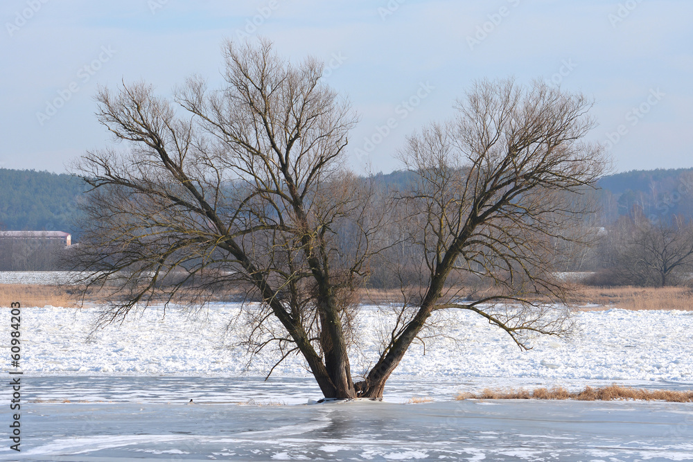 Deich an der Oder Hochwasserschutzgebiet StockFoto Adobe Stock