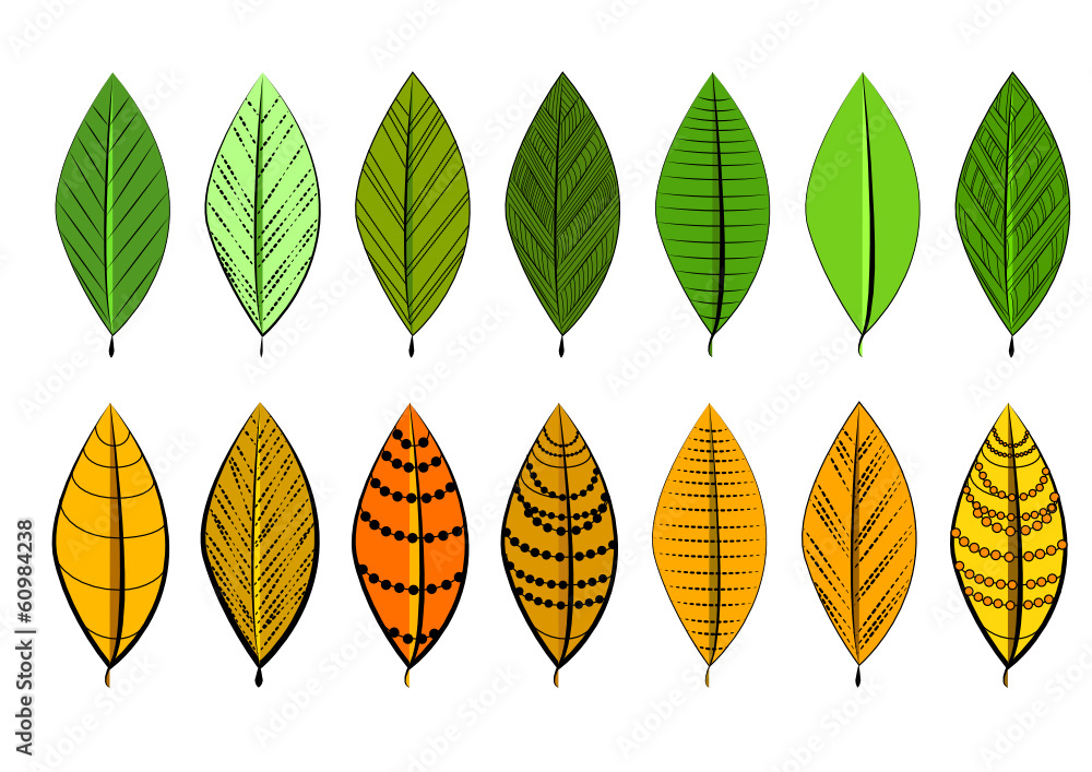 Feuilles Feuilles
