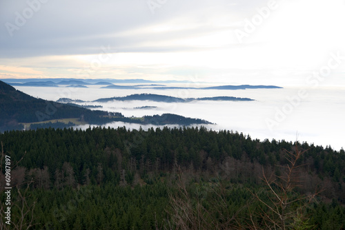Schwarzwald, Black Forest, Germany