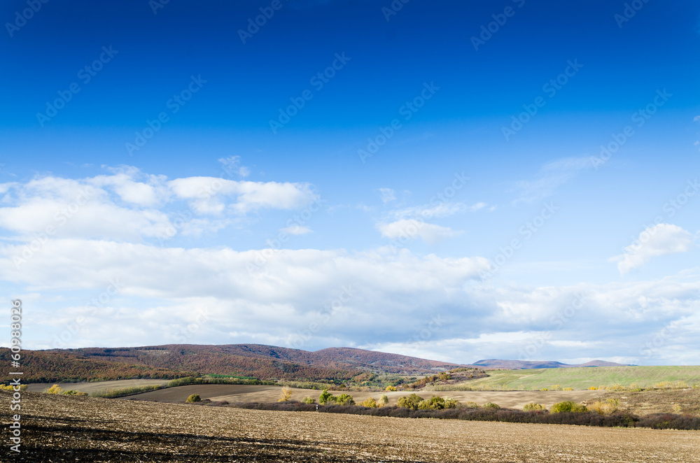 brown field and blue sky.