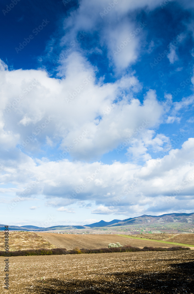 Fototapeta premium brown field and blue sky.