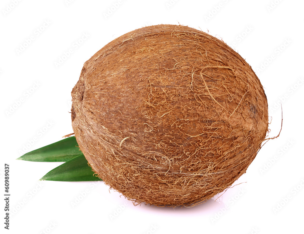Coconut with leaves on a white Coconut with leaves on a white