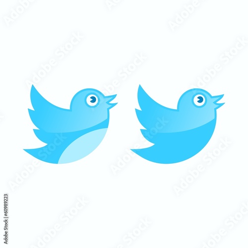 Internet social media follow bird icon