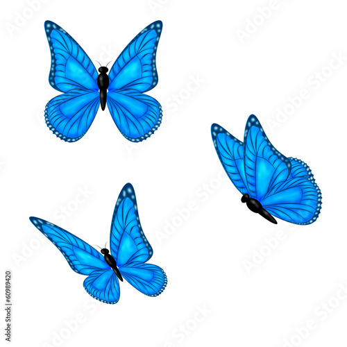 Three blue Butterflies © neirfy