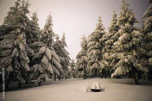 Fototapeta Naklejka Na Ścianę i Meble -  Mountains at night