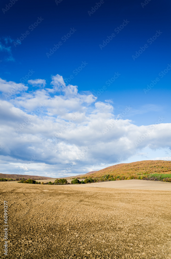 brown field and blue sky.