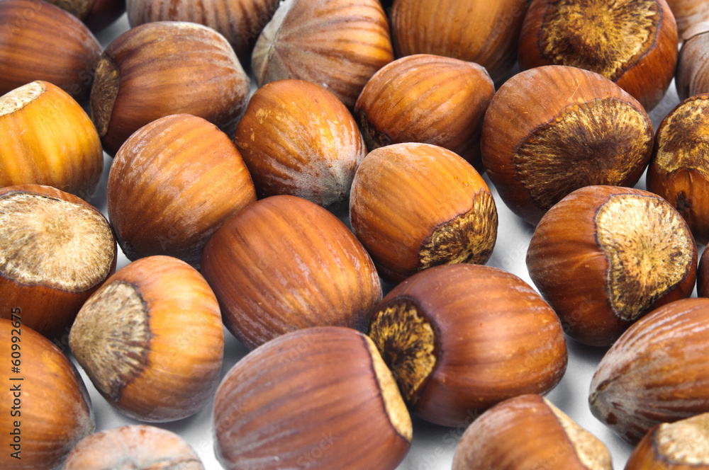 Hazelnuts in the shell Hazelnuts in the shell