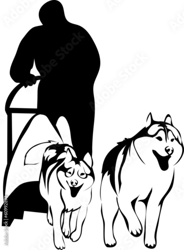 sled dogs