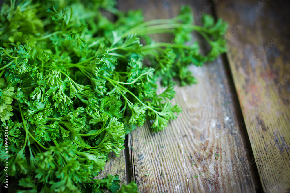 Fresh parsley on rustic wooden background Fresh parsley on rustic wooden background