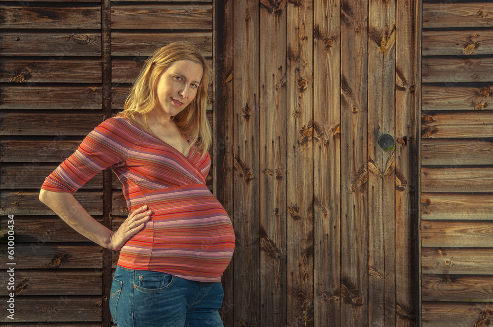 Fototapeta premium Pregnant woman against wooden door