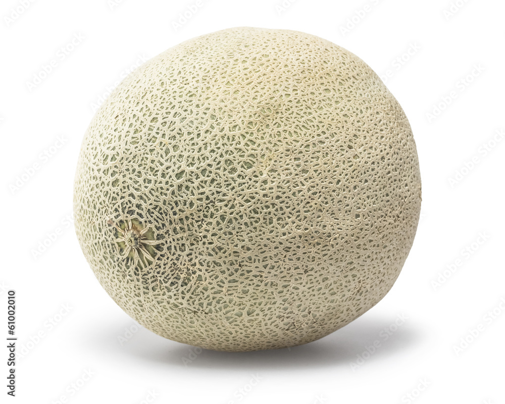 Cantaloupe Cantaloupe