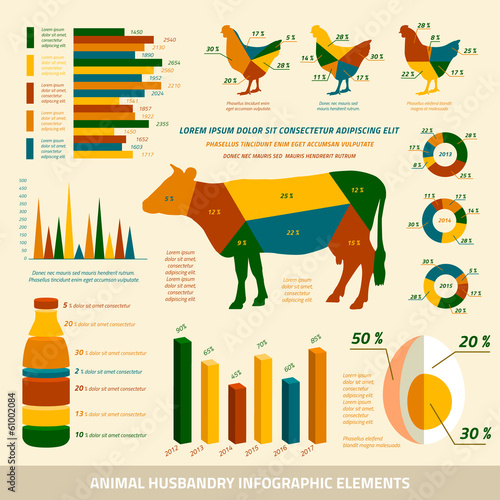 Animal husbandry infographics flat design elements