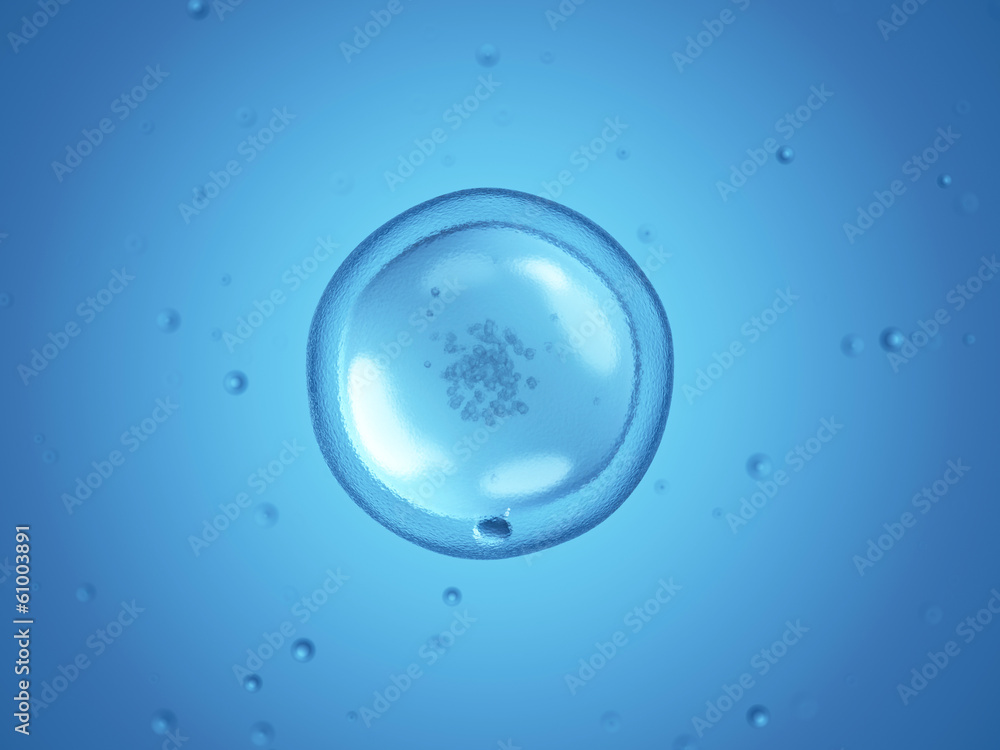 Φωτογραφία 3d rendered illustration - generic human cell
