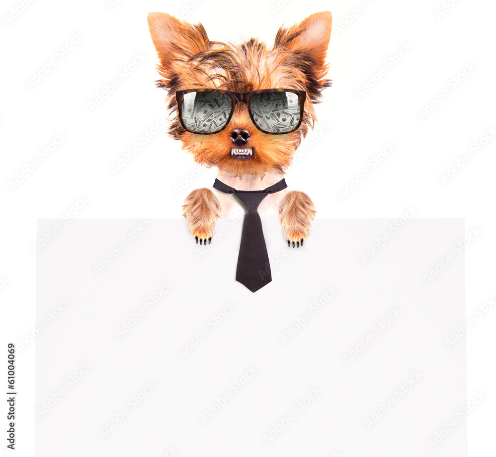 business dog holding banner business dog holding banner