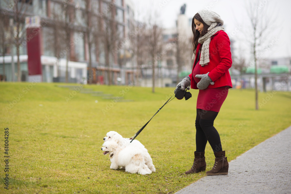 Winter portrait of pregnant woman walking dogs Winter portrait of pregnant woman walking dogs