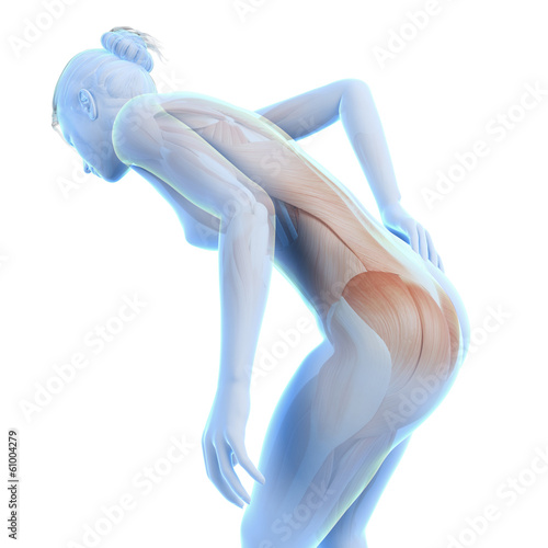 3d rendered illustration - woman having acute pain in the back photo