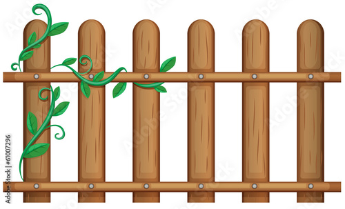A wooden fence with vine plants