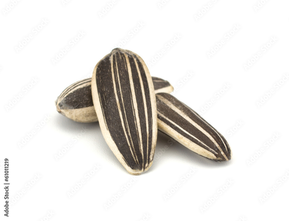 Sunflower seeds isolated on white background Sunflower seeds isolated on white background