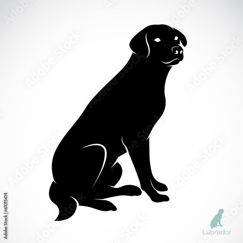 Vector image of an dog labrador