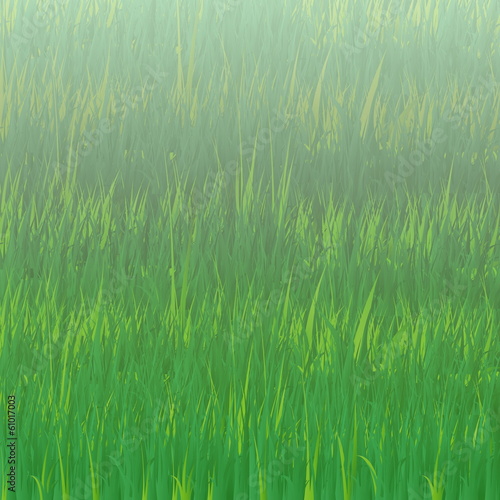 background of grass