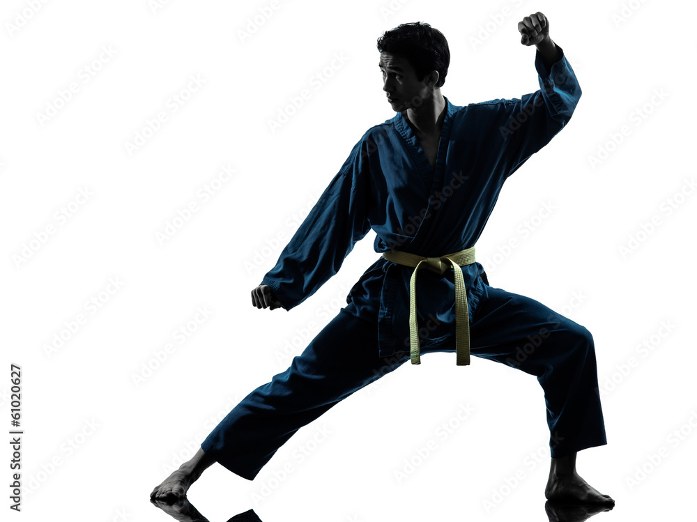 karate vietvodao martial arts man silhouette karate vietvodao martial arts man silhouette