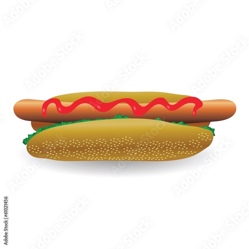 fresh hot dog