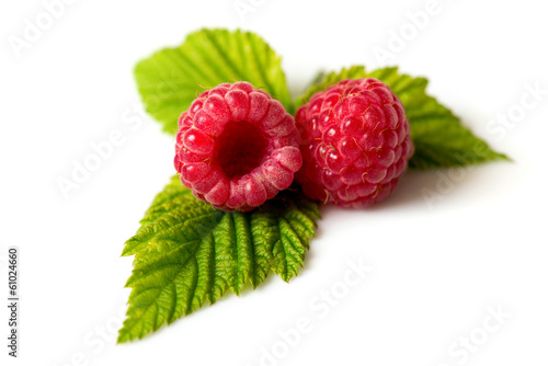 Ripe raspberry on the white background
