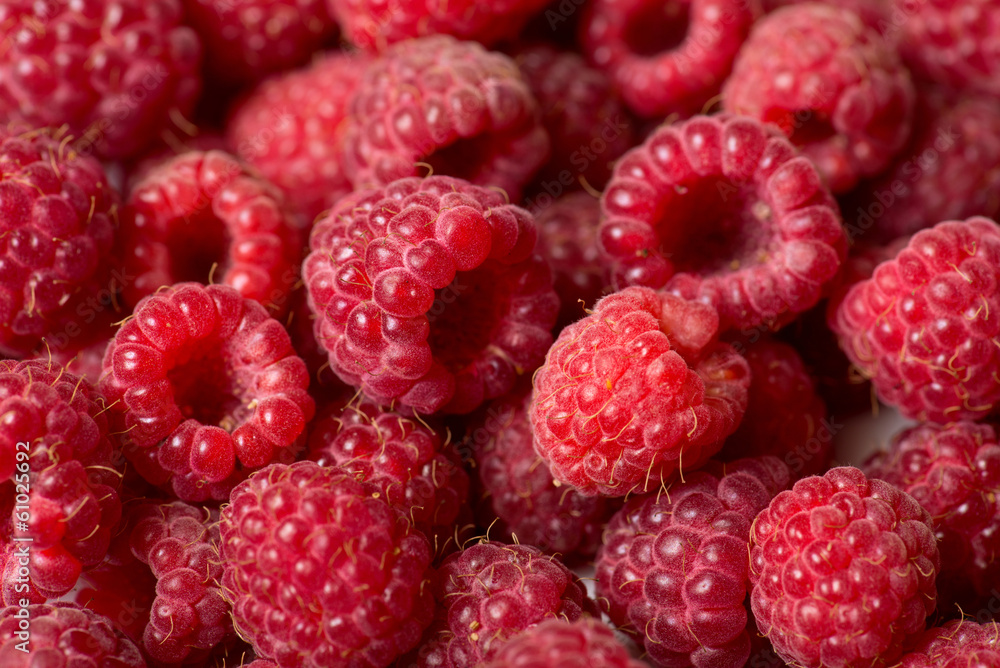 Raspberry fruit background Raspberry fruit background